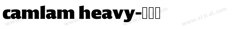 camlam heavy字体转换